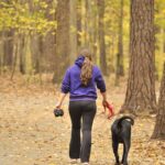 Frau geht mit einem schwarzen Labrador an der Leine durch einen Herbstwald